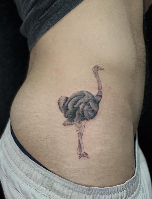 110 Animal Tattoo Designs with Meanings