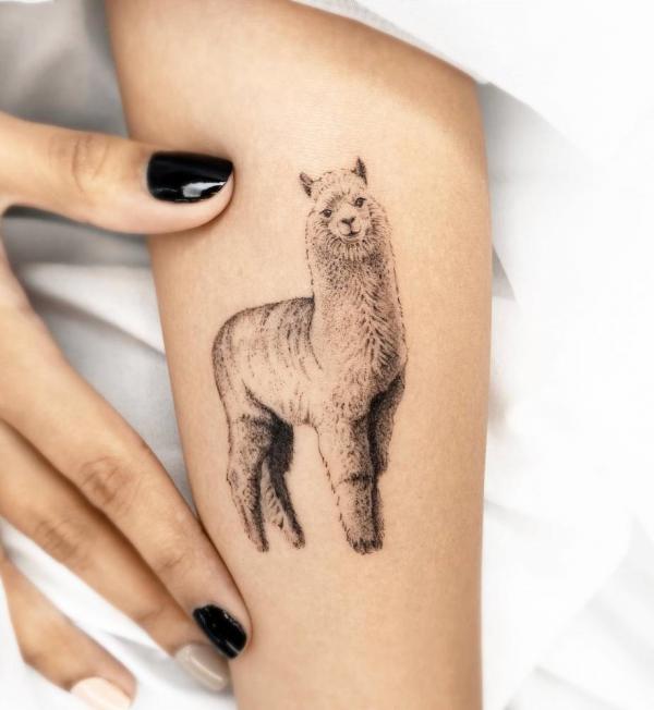 110 Animal Tattoo Designs with Meanings
