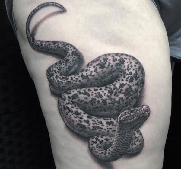 110 Animal Tattoo Designs with Meanings