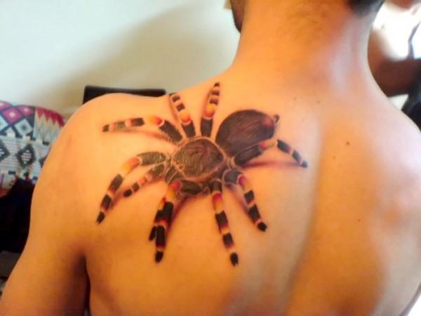 110 Animal Tattoo Designs with Meanings