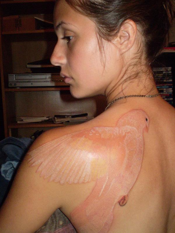 80 Peaceful Dove Tattoos with Meaning