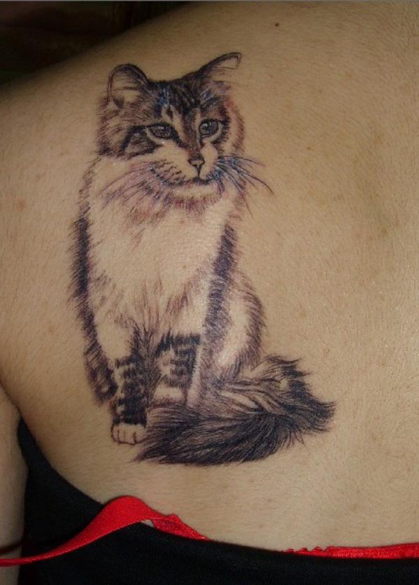100+ Examples of Cute Cat Tattoo