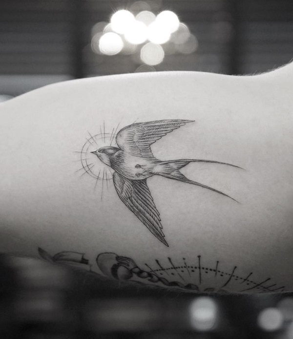 100+ Lovely Swallow Tattoos with Meaning