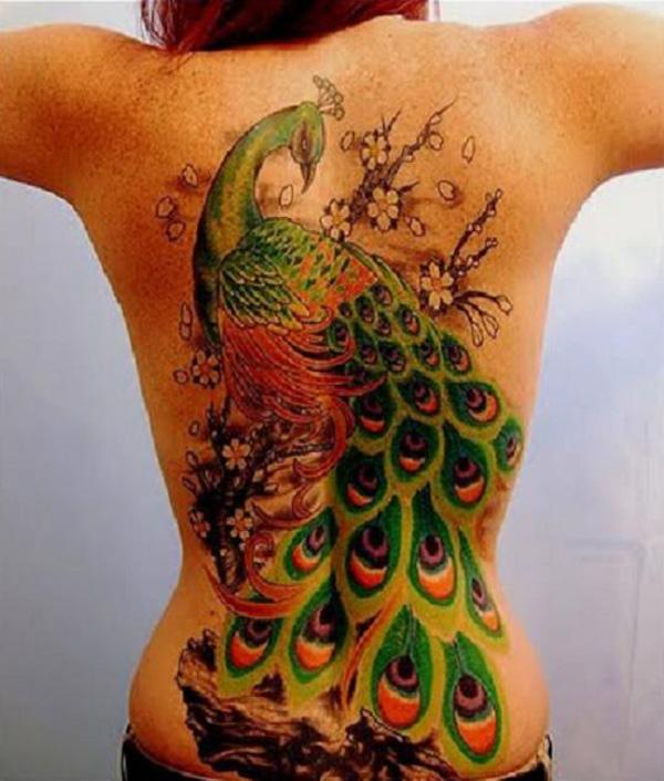 55+ Vibrant Peacock Tattoo Designs
