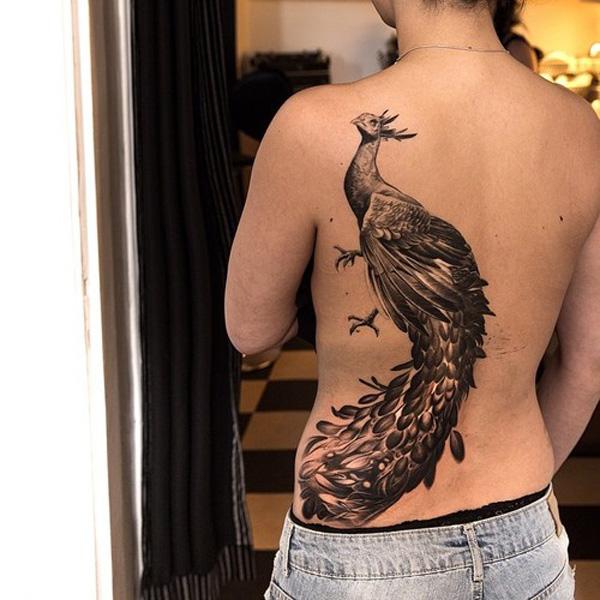 55+ Vibrant Peacock Tattoo Designs