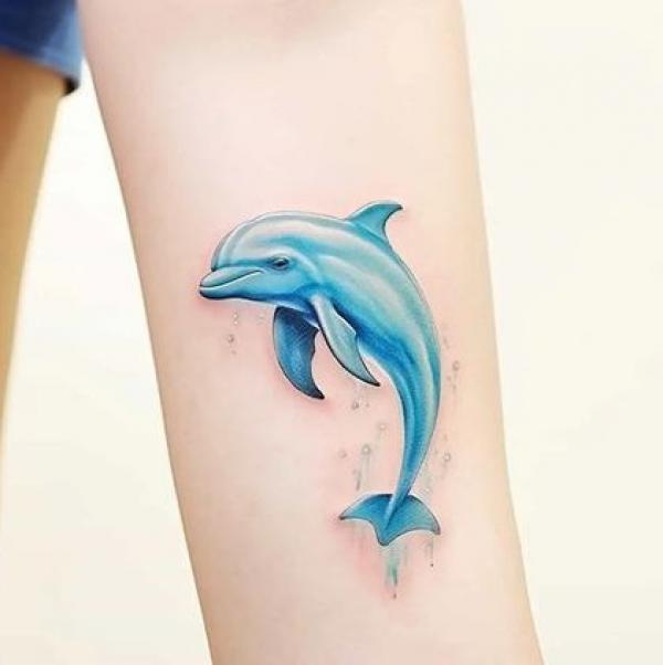 130 Lovely Dolphin Tattoos and Meanings