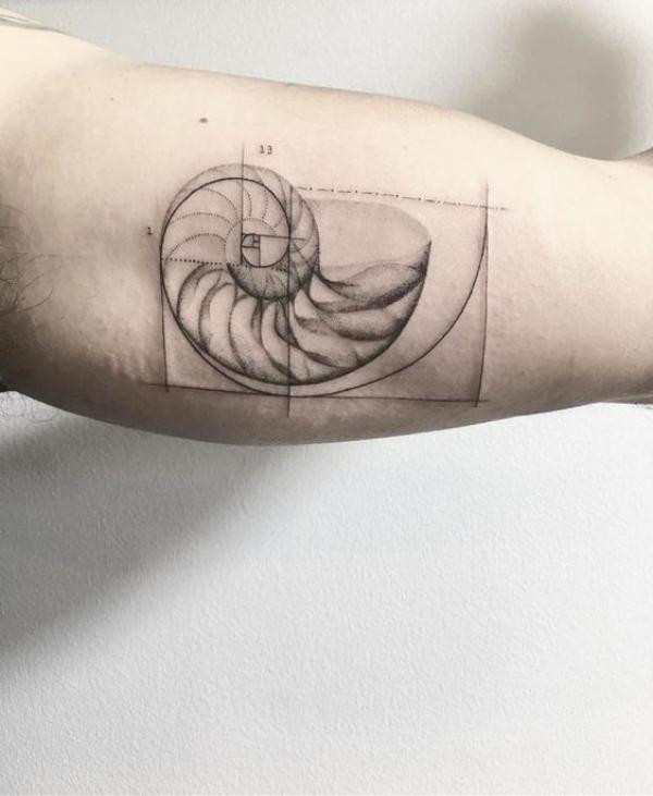 130 Shell Tattoos Make You Wonder Sea Life