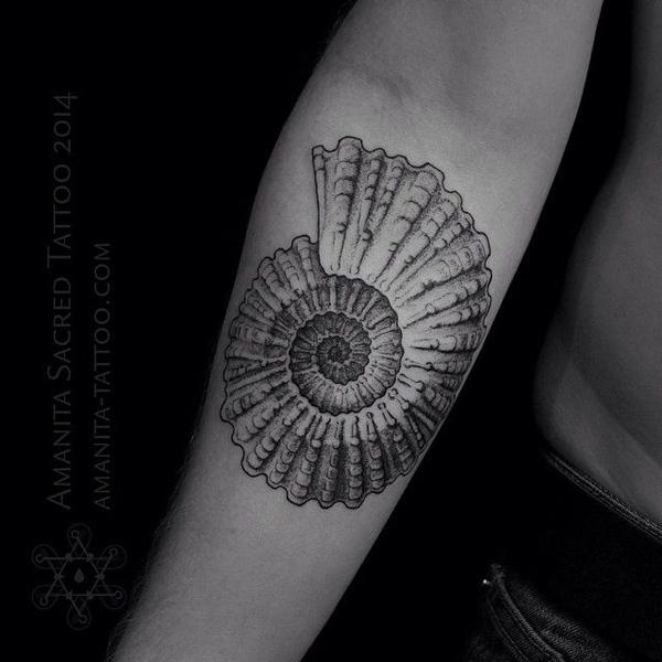 130 Shell Tattoos Make You Wonder Sea Life