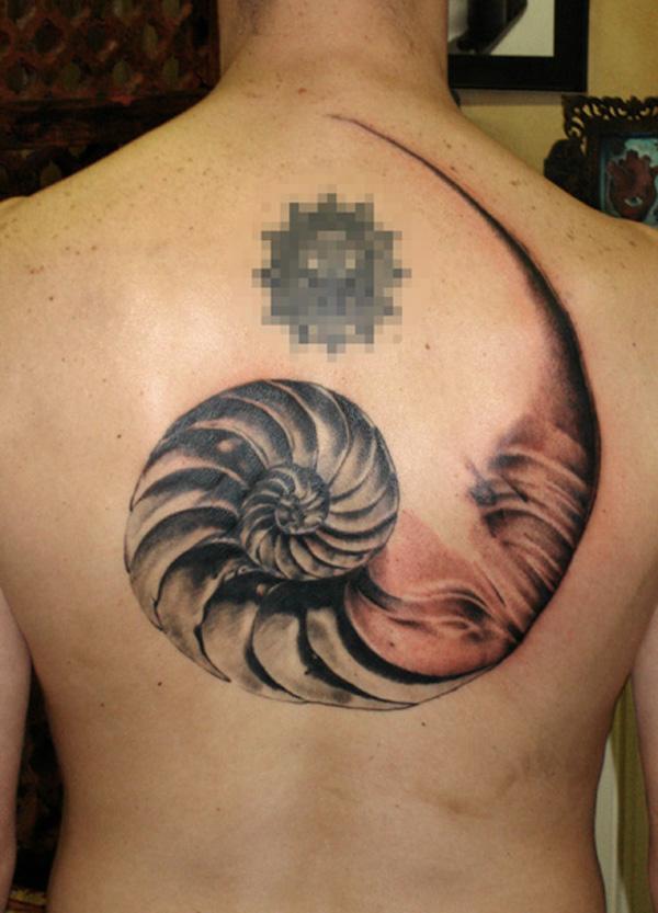 130 Shell Tattoos Make You Wonder Sea Life