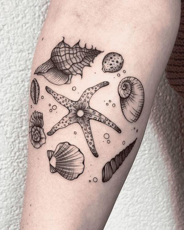 130 Shell Tattoos Make You Wonder Sea Life