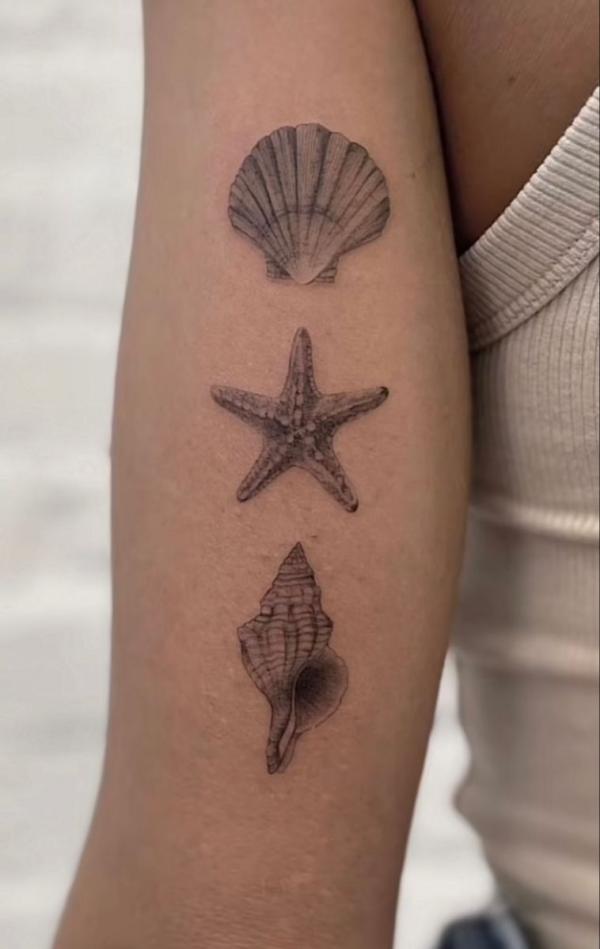 130 Shell Tattoos Make You Wonder Sea Life