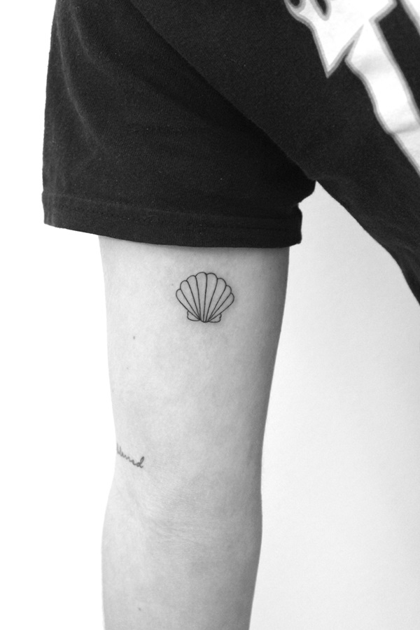 130 Shell Tattoos Make You Wonder Sea Life