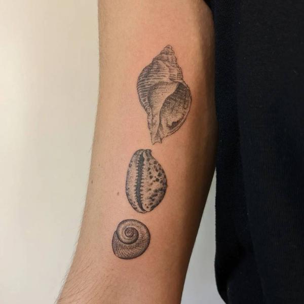 130 Shell Tattoos Make You Wonder Sea Life