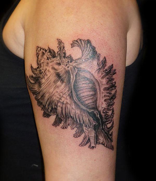 130 Shell Tattoos Make You Wonder Sea Life