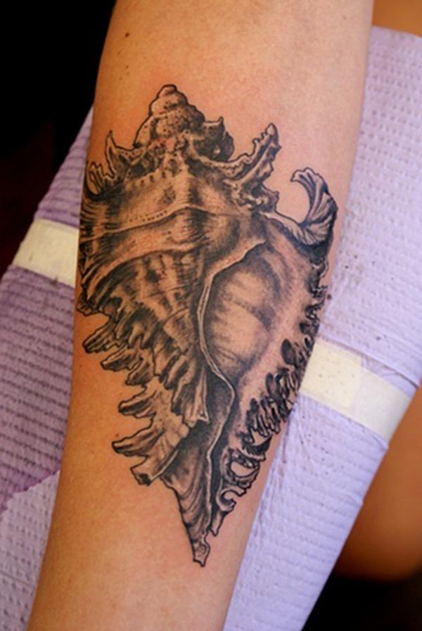 130 Shell Tattoos Make You Wonder Sea Life