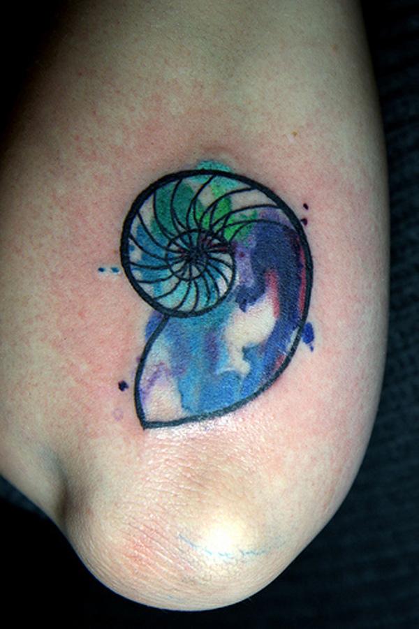 130 Shell Tattoos Make You Wonder Sea Life