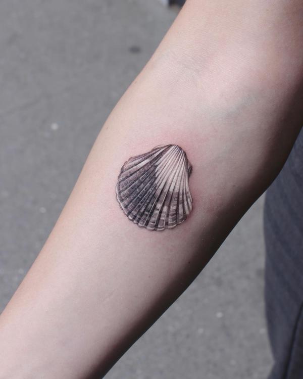130 Shell Tattoos Make You Wonder Sea Life