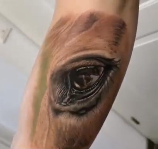 140 Horse tattoos: Design, Ideas and Styles