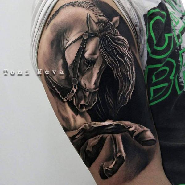 140 Horse tattoos: Design, Ideas and Styles