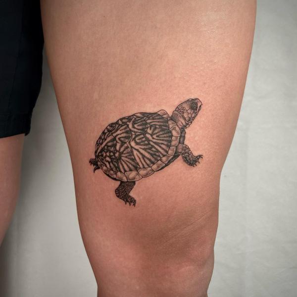 125 Turtle Tattoo Design Ideas for Inspiration