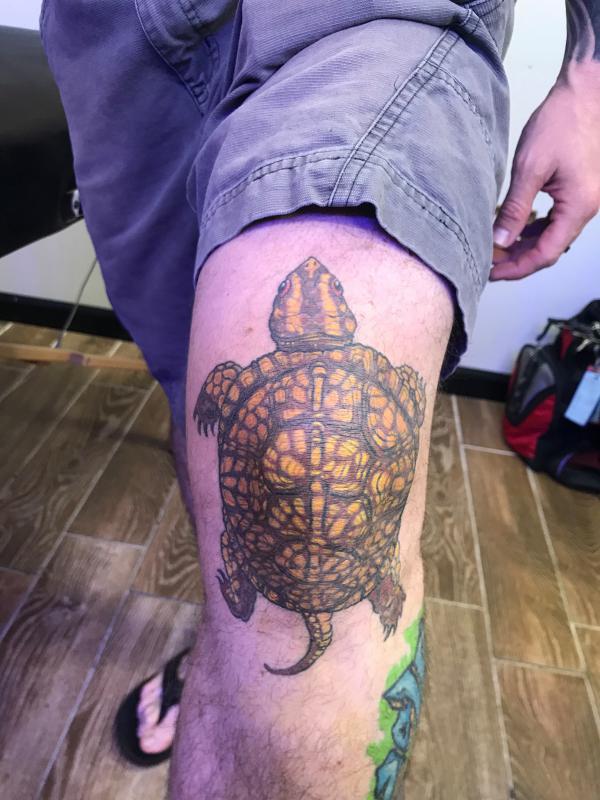 125 Turtle Tattoo Design Ideas for Inspiration