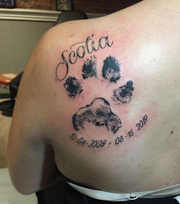 35 Cute Paw Print Tattoos for Your Inspiration