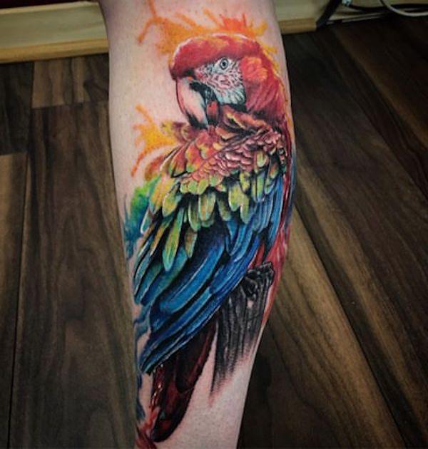 30 Adorable Parrot Tattoo Designs You will Love