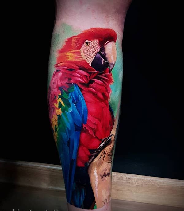 30 Adorable Parrot Tattoo Designs You will Love