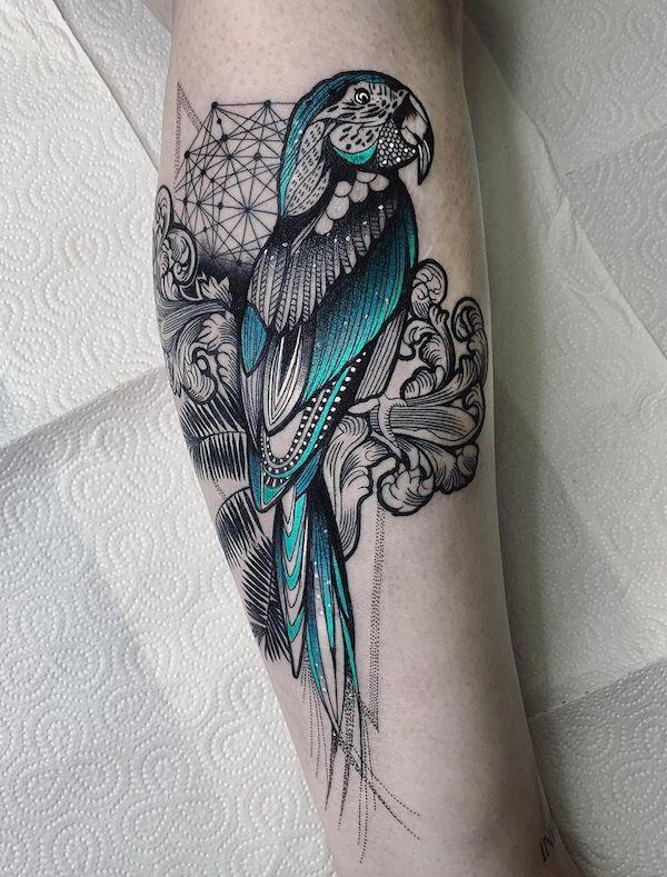 30 Adorable Parrot Tattoo Designs You will Love