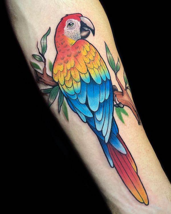 30 Adorable Parrot Tattoo Designs You will Love