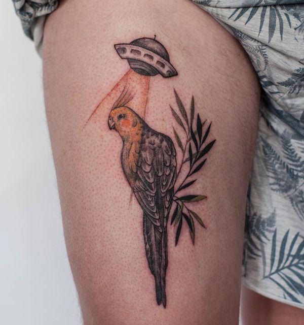 30 Adorable Parrot Tattoo Designs You will Love