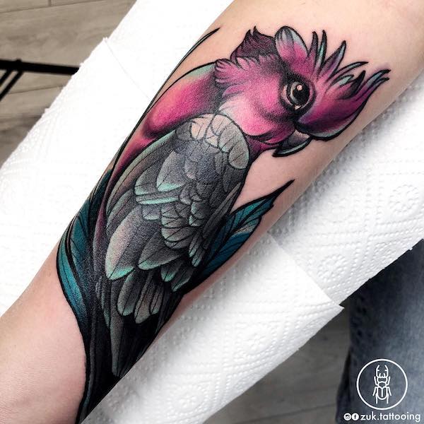 30 Adorable Parrot Tattoo Designs You will Love