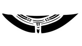 Polynesian Tattoos - Styles, Symbols and Meanings