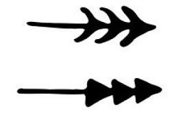 Polynesian Tattoos - Styles, Symbols and Meanings