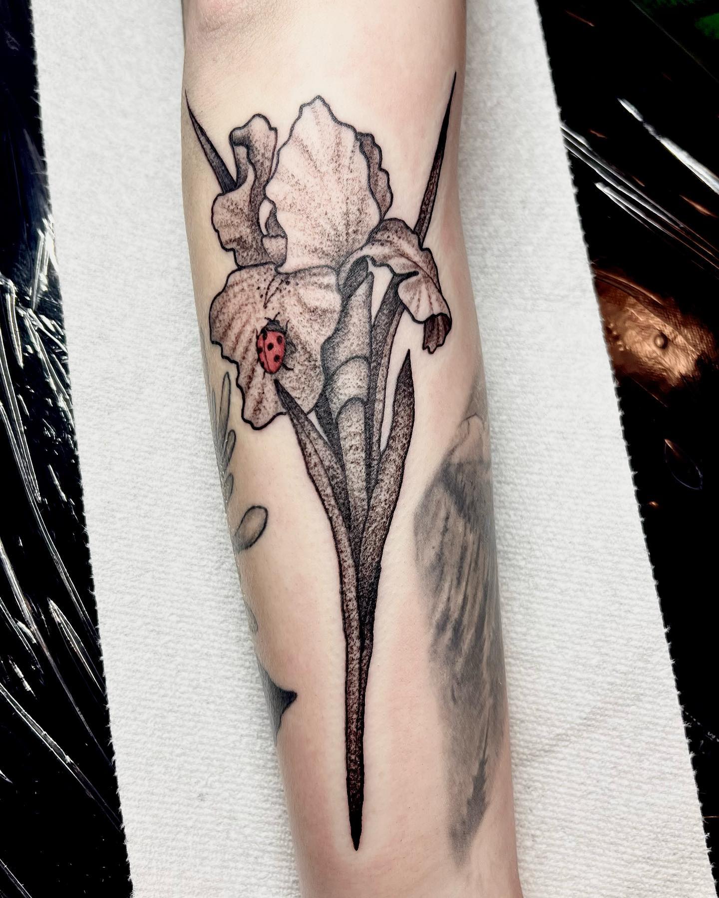 Iris Tattoos: A Blooming Expression of Artistic Beauty