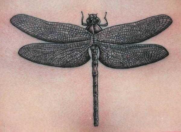 90 Feminine and Inspiring Dragonfly Tattoos for Women