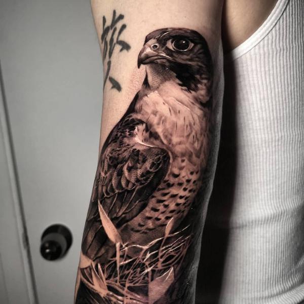Falcon Tattoo Meaning: Exploring the Symbolism of The Majestic Birds