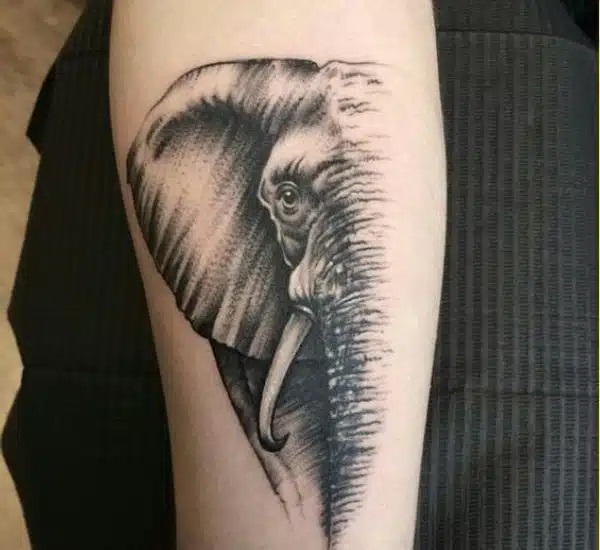 70 Elephant Tattoo Ideas: A Symbol of Strength, Wisdom and Tranquility