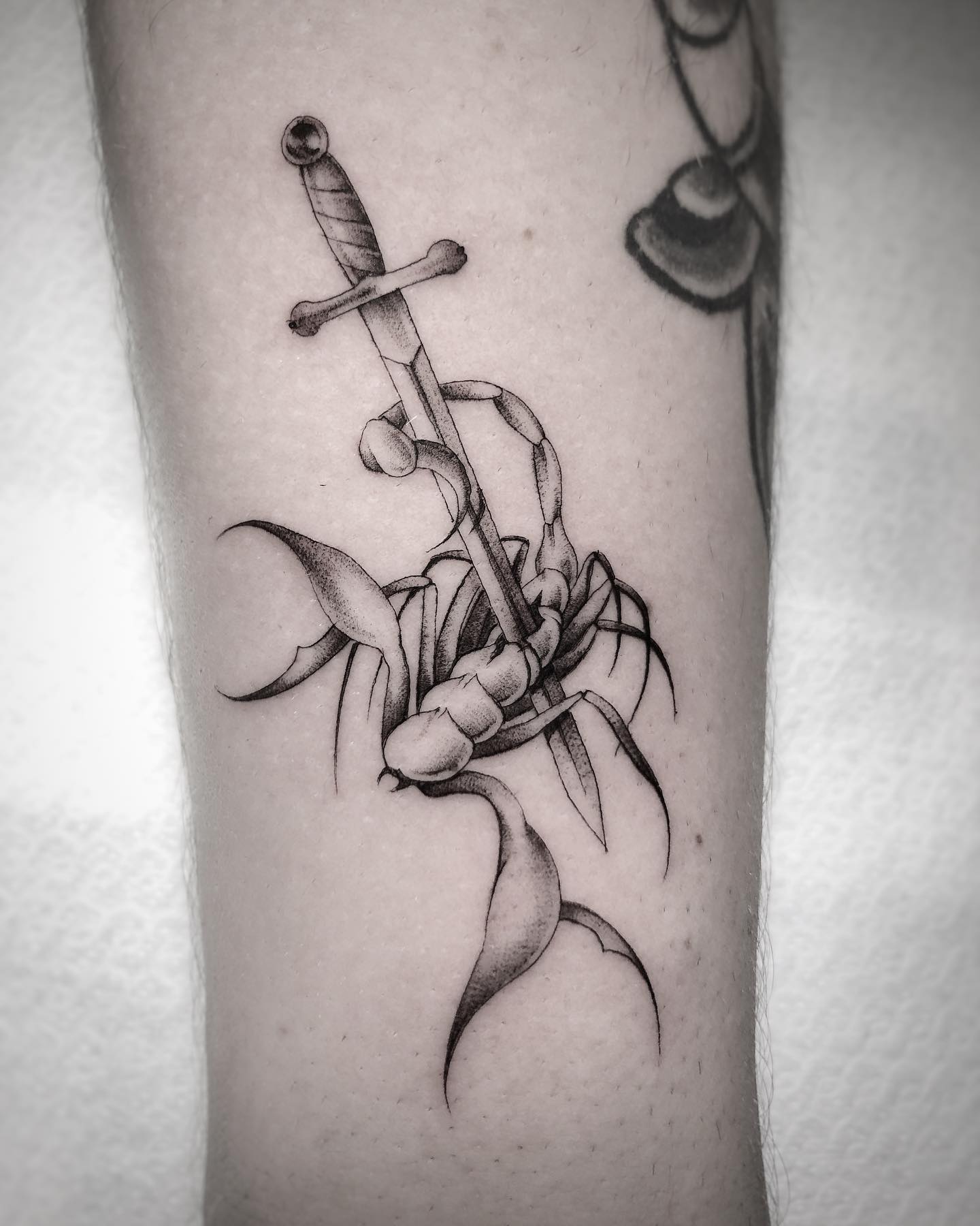 Scorpion Tattoos: Meanings, Styles and Design Ideas