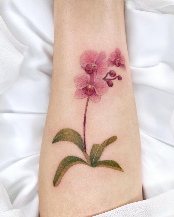 Orchid Tattoos: Symbolism, Styles and Design Ideas