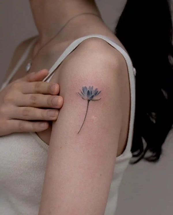 40 Unique Water Lily Tattoos: Designs and their Meanings
