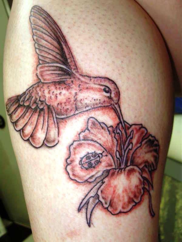 70 Amazing Hummingbird Tattoo Designs