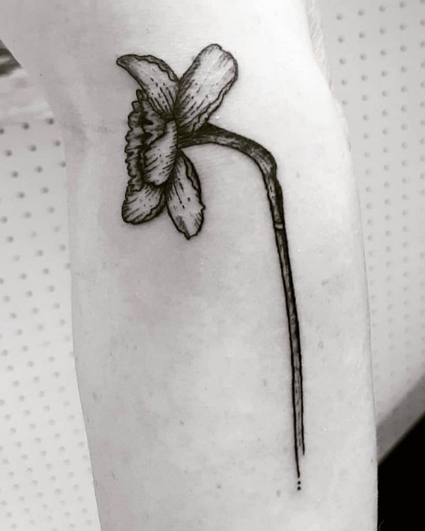 60 Daffodil Tattoo designs with Meanings