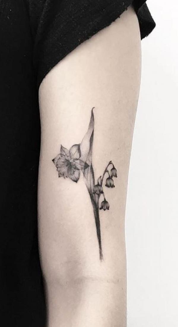 60 Daffodil Tattoo designs with Meanings