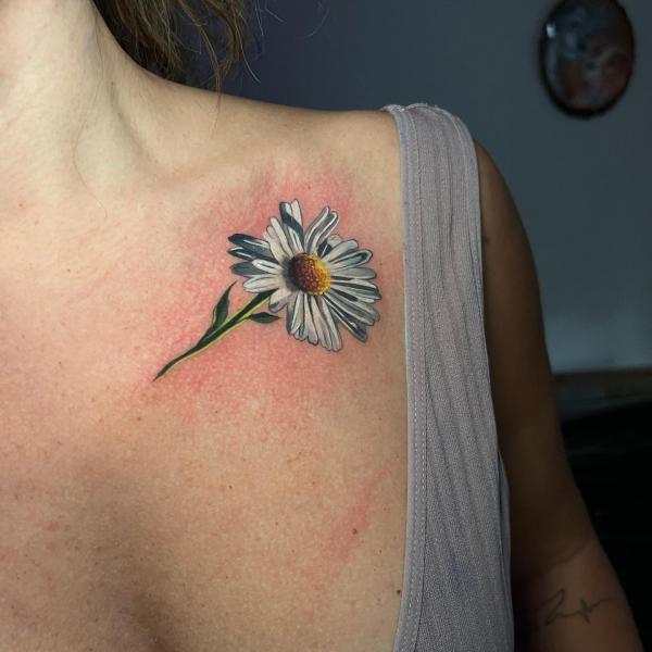 120 Daisy Tattoo Designs with Meanings