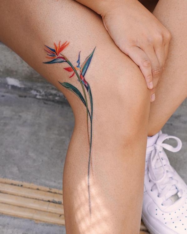 Bird of Paradise Tattoo: Embodying Exotic Beauty and Freedom