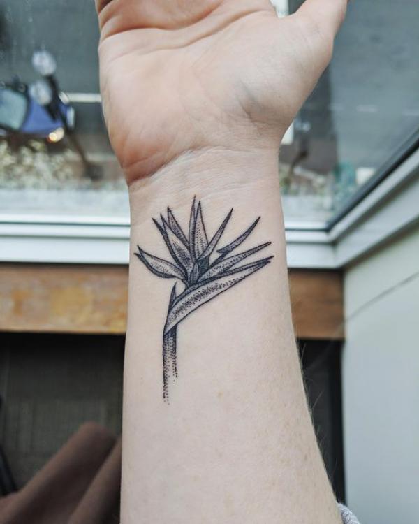 Bird of Paradise Tattoo: Embodying Exotic Beauty and Freedom