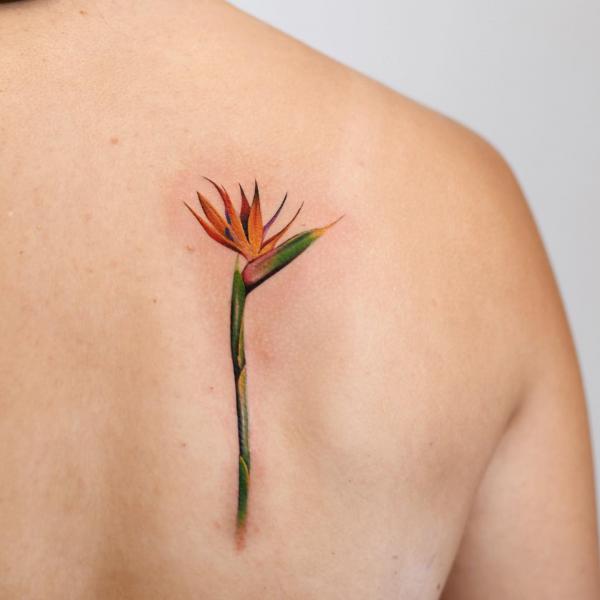 Bird of Paradise Tattoo: Embodying Exotic Beauty and Freedom