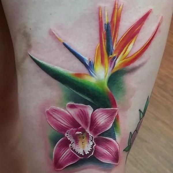 Bird of Paradise Tattoo: Embodying Exotic Beauty and Freedom