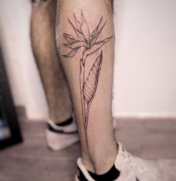 Bird of Paradise Tattoo: Embodying Exotic Beauty and Freedom